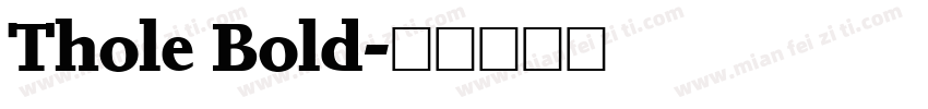 Thole Bold字体转换